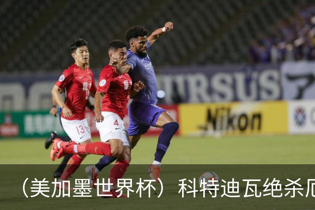 （美加墨世界杯）科特迪瓦绝杀厄瓜多尔 瑞典5:1大胜突尼斯